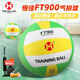 恒佳（HENGJIA）氣排球7號比賽訓練專(zhuān)用標準排球FT900耐打成人中老年鍛煉軟式排球 7號 FT900【全套贈】