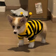 沐霓狗狗衣服秋冬款蜜蜂裝小柯基泰迪比熊貴賓小型犬寵物保暖貓咪衛衣 可愛(ài)寵物服裝【可牽引蜜蜂L碼8-10斤】