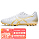 亞瑟士（asics）足球鞋AG釘男款運動(dòng)鞋DS LIGHT袋鼠皮寬腳人造草地1103A119 DS LIGHT CLUB1103A027-122 41.5