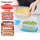 特百惠（Tupperware）冷凍700ml*4保鮮盒食品級冰箱儲物收納盒肉類(lèi)速凍速解密封不串味