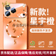 瑪薩皇冠（Maza Hongnan）輕奢品牌適用于蘋(píng)果17手機殼iPhone17promax新款磁吸防摔套16磨砂 【星宇橙】磁吸防摔不沾指紋 iPhone 17 Pro Max