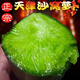 博多客正宗天津沙窩蘿卜 生吃脆甜 水果型青蘿卜 新鮮蔬菜現(xiàn)拔現(xiàn)發(fā) 5斤