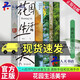 正版包郵 花園生活美學(xué)(精)蔡丸子 商務(wù)印書館 9787100249010 農(nóng)業(yè)/林業(yè)書籍