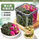 渭水鴻蒲公英玫瑰花組合70克特級(jí)中藥材平陰玫瑰花茶養(yǎng)生茶