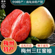 桃西村梅州三紅蜜柚【順豐速發(fā)】紅肉柚紅心蜜柚新鮮水果禮盒中秋團購 凈重2斤 三紅柚【1個(gè)裝】麻袋