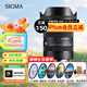 適馬（SIGMA）18-50mm F2.8 DC DN恒定大光圈標(biāo)準(zhǔn)變焦鏡頭 索尼E卡口半畫幅微單 風(fēng)光人像視頻直播 濾鏡禮包套裝