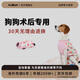 KUOSER狗狗絕育服生理褲泰迪比熊術(shù)后衣防抓防舔透氣狗狗衣服 桃子粉 L：建議22-43斤