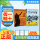 （書(shū)香魯韻）25秋四年級《森林報秋》《中國神話(huà)故事》《希臘神話(huà)故事》《下次開(kāi)船港》《你是我的妹》《林漢達講中國歷史故事·戰國》正版贈導讀單 《希臘神話(huà)故事》 《下次開(kāi)船港》+導讀單