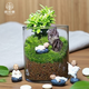 微景觀(guān)生態(tài)瓶桌面創(chuàng  )意苔蘚綠植diy盆栽擺件禮物辦公室室內好養 一隅寧靜（贈隨機1個(gè)小和尚）