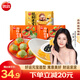 思念柿子湯圓 柿柿如意湯圓312g 事事如意黑芝麻湯圓元宵糯米餡 面點(diǎn) 柿柿如意2袋+招財進(jìn)寶1袋