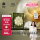 babycare山茶花防溢乳墊 一次性超薄柔軟透氣防溢乳貼乳墊 120片