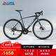 喜德盛2025款RC300公路自行車碟剎鋁合金車架上班通勤代步車 灰/黑 520mm