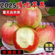 嘎啦蘋(píng)果新疆阿克蘇嘎啦小蘋(píng)果新鮮應季嘎啦蘋(píng)果新疆直發(fā) 大果4.6斤 順豐
