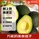 趣嘗鮮 趣嘗鮮中國牛油果 云南哈斯牛油果 樹(shù)上熟 160g-190g 6粒裝 新鮮