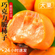 正宗巧克力脆柿子新鮮水果當季冰糖心甜柿無(wú)核火晶柿整箱年貨禮盒 精選2斤（凈重1.5斤）