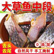 湖北特產(chǎn)臘魚(yú)風(fēng)干魚(yú)草魚(yú)魚(yú)塊武漢糍粑魚(yú)陽(yáng)干魚(yú)干咸魚(yú)腌制農家干貨 【去頭去尾】風(fēng)干大草魚(yú)塊1斤裝