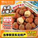 零食宅域東北特產(chǎn)手拍大榛子鐵嶺2025新果原味薄殼堅果炒貨干果年貨500g