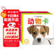 寶寶認知卡套裝全4冊 動(dòng)物卡+認物卡+識車(chē)卡+果蔬卡0-3歲嬰兒早教（兩版隨機發(fā)）中英雙語(yǔ)撕拉卡片親子互動(dòng)游戲撕不爛嬰幼兒早教卡科學(xué)啟蒙認知識物卡
