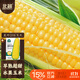 北蔬 水果玉米種子苗超甜脆耐熱玉米四季可生吃 美珍206玉米種子30粒