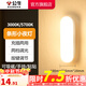 公牛（BULL） LED柔光小夜燈床頭衣柜洗手間廚房可磁吸可手持玄關(guān)移動(dòng)照明 條形燈-按鍵雙色調光10cm