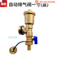 排氣閥地暖加厚1寸自動(dòng)分水器排氣放水閥尾件暖氣片大流量 一寸藍色一個(gè)