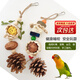 智宙鸚鵡啃咬玩具掛件小鳥(niǎo)天然藤球松果智商訓練玄風(fēng)虎皮牡丹磨牙解悶 鸚鵡繽紛果實(shí)玩具
