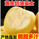 山東奶油富士頭茬現摘脆甜多汁牛奶蘋(píng)果整箱孕婦水果 單果75-85mm 4.5斤(凈重4斤)