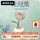 若客（ROKR）森嶼山茶香薰燈 花間集積木永生花DIY手工拼裝玩具教師節禮物擺件