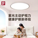 Paulmann P德國(guó)柏曼日光吸頂燈 護(hù)眼臥室客廳兒童led全光譜 包安裝-墻控版本