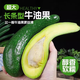 長條牛油果新鮮罕見水果當季即食寶寶輔食大果孕婦 中大果 2斤 2斤