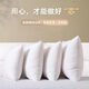 LNGA LANDGRE 抱枕芯內膽沙發(fā)枕芯靠墊芯45 50床頭抱枕心靠背內芯靠枕頭芯填充 三維高彈羽絲絨（星級酒店品質(zhì)） 50cm*50cm 含枕芯 （搭配45*45cm枕套）