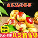 一級果 山東沾化冬棗 新鮮 大棗 鮮棗 棗子 應季水果  順豐JD包郵 凈重5斤 單果20g+