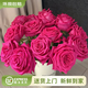 云南鮮花批發(fā)品質(zhì)玫瑰百合水養鮮切花送女友水養鮮花源頭直發(fā) 弗洛伊德-20支 【任選2件—不收運費】