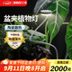 三思京東集采JC系列全光譜植物燈補光燈仿太陽(yáng)光植物生長(cháng)盆夾燈-12W