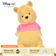 迪士尼（Disney）白日夢系列小熊維尼史迪奇毛絨玩偶公仔禮物兒童生日學(xué)生畢業(yè)禮物 小熊維尼玩偶