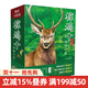 椋鳩十動(dòng)物小說(shuō)（美繪注音版）全6冊 6～10歲動(dòng)物小說(shuō)界的安徒生語(yǔ)文書(shū)中的文學(xué)大師椋鳩十的動(dòng)物世界領(lǐng)略大自然的壯闊與力量感知生命的瑰麗與珍貴 二十一世紀出版社