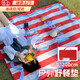 ins風(fēng)條紋野餐墊防潮墊加厚防水春游墊子海邊沙灘露營(yíng)地墊牛津布 簡(jiǎn)約紅白條紋（野餐墊） 【150*200cm】