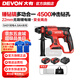 大有（Devon） 無刷電錘5401多功能鋰電錘充電電錘電鎬兩用錘磨組合輕型沖擊鉆 4.0Ah雙電快充（75W）