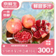 京鮮生 四川會(huì )理突尼斯軟籽石榴 3斤單果300-350g 生鮮水果源頭直發(fā)