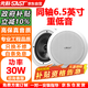 先科（SAST）YS4-5同軸定壓吸頂喇叭音響背景音樂(lè )公共廣播音箱家庭影院高保真天花板家用門(mén)店商場(chǎng)吊頂6.5英寸