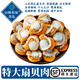 【特大號】山東櫛孔扇貝肉 無(wú)沙帶黃帶膏 新鮮熟凍貝類(lèi)海鮮 水產(chǎn) 400g/袋*8袋【約50只左右/斤】