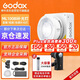 神牛（Godox）ML100Bi攝影燈雙色溫可調(diào)便攜夜拍燈人像補光燈戶外控制室電影視頻攝像燈  ML100Bi【官方標(biāo)配】