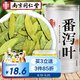 南同四海南京同仁堂番瀉葉片番茄葉獨立包裝便番瀉葉番瀉葉茶包通潘泄葉茶