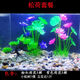 水自在魚(yú)缸造景仿真荷花草假花假草魚(yú)缸裝飾仿真水草套餐魚(yú)缸假植物組合 松荷套餐