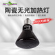 REPTIZOO瑞皮陶瓷加熱燈爬寵鸚鵡無(wú)光蜥蜴鬃獅蜥燈泡 35W