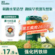 英氏（Engnice）嬰幼兒水果派對餅干蜜瓜獼猴桃味 寶寶嬰兒零食輔食餅干85g