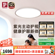 Paulmann P德國(guó)柏曼日光3.0臥室護(hù)眼吸頂燈兒童房書(shū)房學(xué)習(xí)全光譜超薄燈具LED [雅光銀]推薦12-16㎡ 支持鴻蒙智聯(lián)