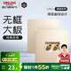 德力西（DELIXI） 開(kāi)關(guān)插座面板CD821香檳金色無(wú)框大板雙電腦網(wǎng)絡(luò )電話(huà)面板多位連架 二位音響