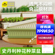 史丹利陽(yáng)臺種菜盆專(zhuān)用家用花盆長(cháng)方形塑料蔬果盆栽象牙白【長(cháng)400mm】