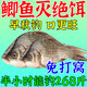 鯽魚(yú)專(zhuān)用釣魚(yú)餌料四季通用型通用主攻大板鯽野釣黑坑濃腥鯽魚(yú)專(zhuān)用 1袋裝【大板鯽絕戶(hù)餌】